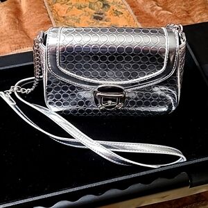 Pretty silver bag
